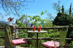 grove cottage pelion
